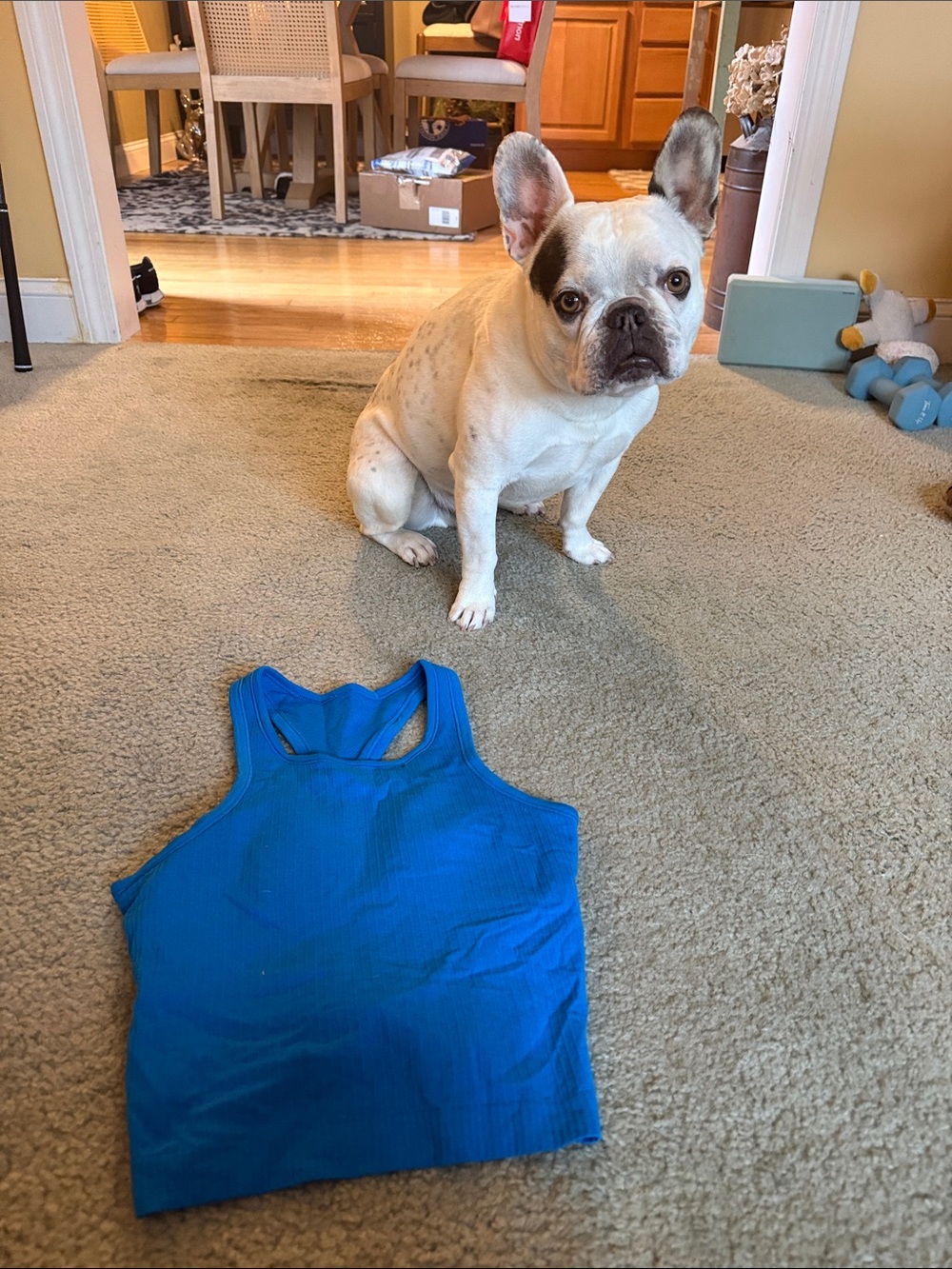 lululemon athletica Bright Blue Ribbed Tank Top